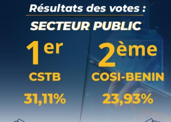 Résultats des élections professionnelles au Bénin: Les grands gagnants du scrutin