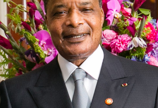 Congo Brazzaville :  8 candidats en lice  pour la présidentielle