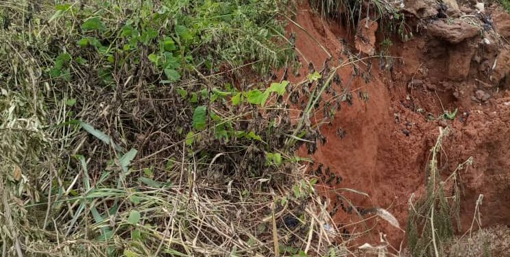 Alerte sur la dépression de Sissèkpa aux abords de la RNIE4 à Azowlissè : La Dgi de Ayadji déjà sur le front