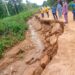 Conséquences du mauvais aménagement de la route Bopa-Lobogo : Un drame écologique se joue à Hangnamè