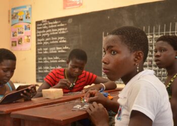 Cantines scolaires : Que comprendre de la prise en compte des centres PAEFE ?