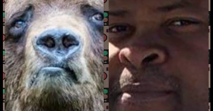 Litige domanial entre une dame et moi à Akogbato : MA RÉPONSE À VITAL PANOU