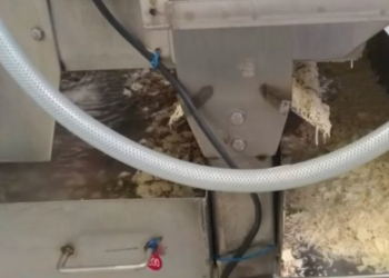 Production des pizzas de l’usine nordiste Buitoni : Ces horreurs qui ont conduit à l’interdiction