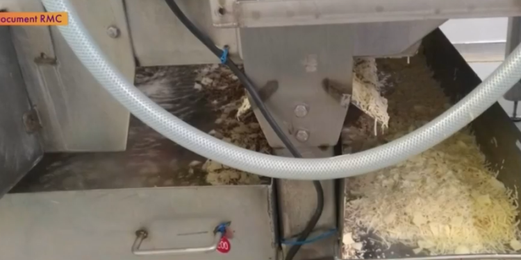 Production des pizzas de l’usine nordiste Buitoni : Ces horreurs qui ont conduit à l’interdiction