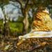 BENIN : La célébration du 10 janvier désormais accompagnée du festival Vodun Day