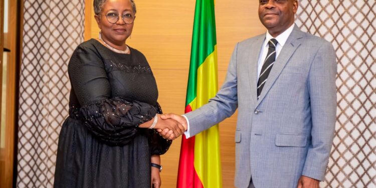 Bénin : Huguette Bokpè Gnacadja chez le président Dorothé Sossa