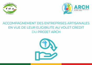 Bénin : Des centres spécialisés appelés à former des artisans