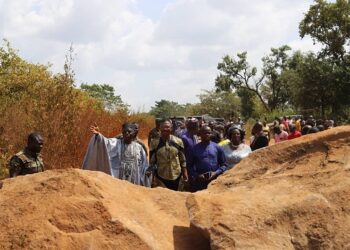 Bénin : Le constat amer des Démocrates suite au blocage des voies d&rsquo;accès au Togo