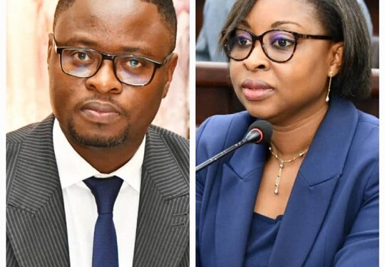 Examen des budgets sectoriels au parlement : Aurélie Adam Soulé, Akotègnon, Dato, Essou et Adossou ont planché hier