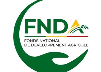 Bénin : Ce que le FNDA doit faire pour avoir l&rsquo;agrément d’établissement financier de cautionnement