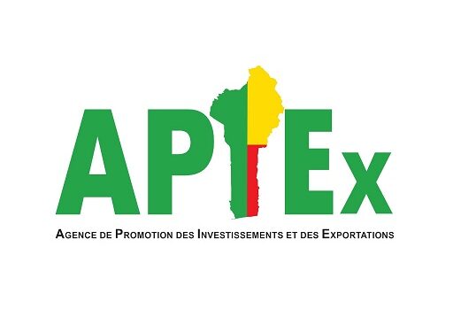 Bénin : Que savoir sur le nouveau DG Apiex ?