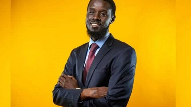 Sénégal / Election présidentielle : Bassirou Diomaye Faye, de la Prison à la Présidence