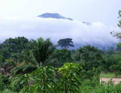 Bénin : Du nouveau dans la gestion des forêts classées