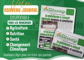 Médias : Daabaaru Agri apporte sa touche à la presse béninoise