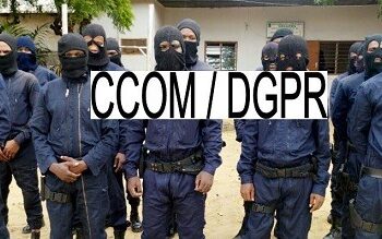 Bénin : Un redoutable chef de gang neutralisé à Kandi (Les détails)