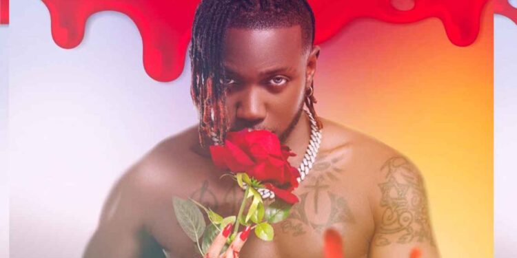 Showbiz : l’artiste béninois Fanicko de nouveau amoureux