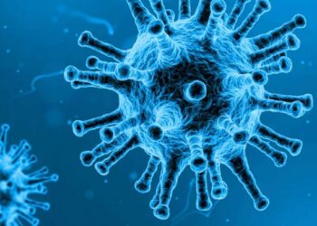 Santé : Une maladie infectieuse attaque des populations dans ce pays