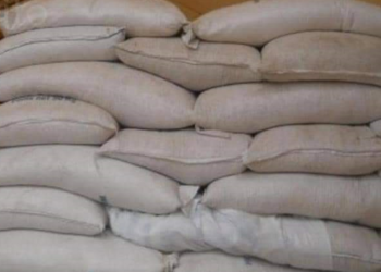 Bénin : Environ 900 sacs de maïs et une cinquantaine de sacs de mil interceptés à Karimama
