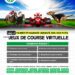 Lnb : Comment jouer et gagner aux courses virtuelles ?
