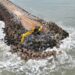 Bénin : L’épi d’arrêt de sable réalisé dans le cadre du Millennium Challenge Account à Cotonou réparé définitivement (La raison)