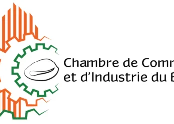 Bénin : Le corps électoral convoqué pour l’élection des membres de l&rsquo;assemblée consulaire de la CCIB