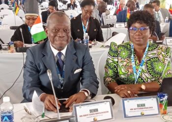 7ème assemblée générale de la CJCA au Zimbabwé : La conseillère Aleyya Gouda Baco présente le concept de la dignité humaine dans le droit constitutionnelle aux congressistes