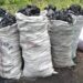 Bénin : Voici les nouvelles conditions de circulation du bois énergie notamment le charbon de bois et le bois de feu
