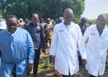 Santé animale : Le Bénin lance une campagne de vaccination pour protéger le bétail