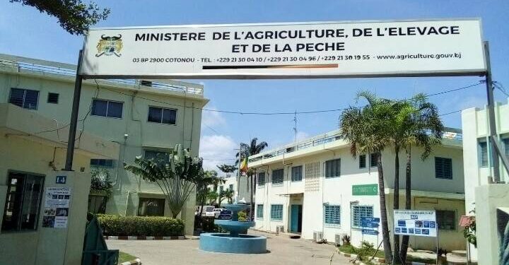 Bénin : Deux agents lauréats de concours de recrutement sommés de se présenter avant cette échéance sous peine de démission