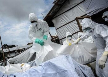 Nigeria : La fièvre de Lassa fait des ravages, le bilan s&rsquo;alourdit