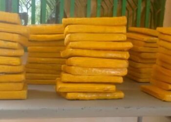 Lutte contre le trafic de drogue au Bénin : Des plaquettes de chanvre indien interceptées à l’embarcadère de Tounga-léda (Les détails)