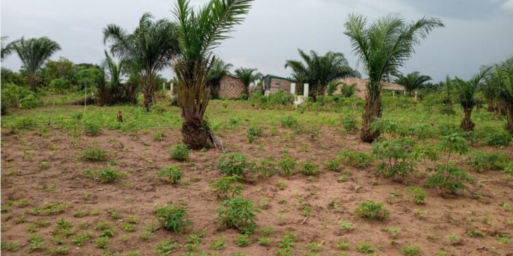 Bénin : Trois nouveaux services fonciers désormais accessibles en ligne