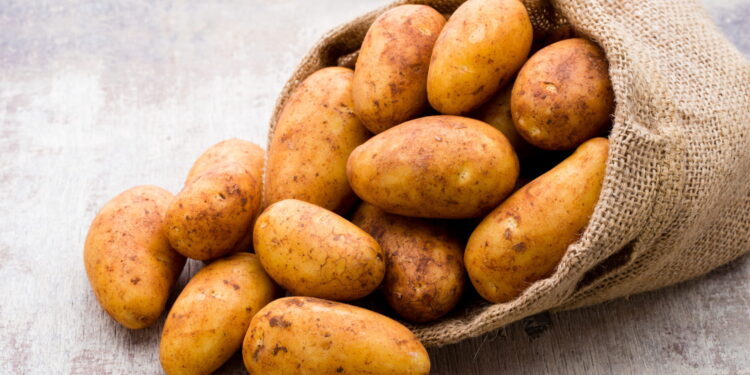 Burkina Faso : Stop aux importations de pommes de terre jusqu&rsquo;au…