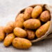 Burkina Faso : Stop aux importations de pommes de terre jusqu&rsquo;au…