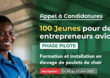 Bénin : Le Gouvernement recrute 100 jeunes pour l&rsquo;élevage de poulets de chair (les détails)