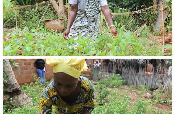 Révolution silencieuse au Bénin : Quand les jardins de proximité deviennent la clé de la nutrition et de l&rsquo;autonomie
