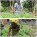 Révolution silencieuse au Bénin : Quand les jardins de proximité deviennent la clé de la nutrition et de l&rsquo;autonomie