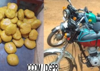 Lutte contre le trafic illicite au Bénin : 61 plaquettes de chanvre indien saisis à Fita