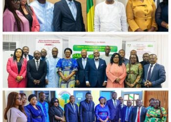 Visite des institutions de la République et autres : Le management béninois fait école au Gabon