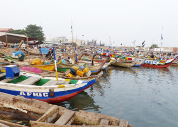 Port de pêche de Cotonou : 196 hangars en construction pour une réorganisation en profondeur