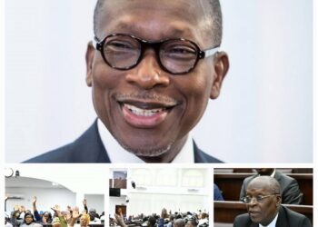 Adoption historique de la Vision Bénin 2060 Alafia pour un développement durable et inclusif : Les députés adoubent Talon à l&rsquo;unanimité