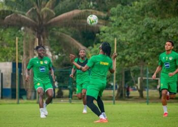 Celtiis Ligue Pro et D1 Féminine : Un important message de la FBF pour les clubs (les détails)