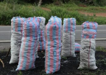 Le Bénin structure son commerce : Un marché spécifique pour la vente du charbon et du pétrole annoncé