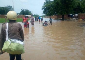 Malanville et Karimama en alerte jaune : Le fleuve Niger fait craindre le pire