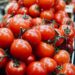 Santé publique : Le Bénin suspend tout usage de cette boîte de tomate sur le marché (Les détails)