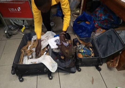 Gabon : Deux passagers béninois arrêtés avec des objets rituels à l&rsquo;aéroport de Libreville