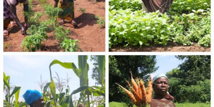 Sortir les maladies tropicales négligées de l’oubli : Le défi du REMAPSEN en Afrique