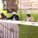 Célébration de la journée mondiale des sols à Parakou : L’Irc en collaboration avec la mairie commémore et présente les acquis du projet TAZCO 2