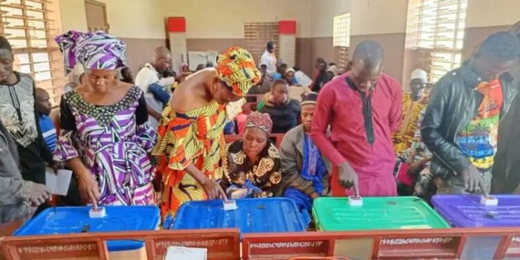 Du soleil pour les poussins : Au Bénin, un formateur révolutionne l’élevage traditionnel