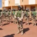 Renforcement de la sécurité dans l&rsquo;espace Cédéao : Une force en attente de 2 000 soldats pour contrer le terrorisme (les détails)
